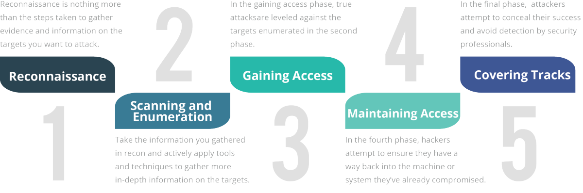 Ethical Hacking Phases